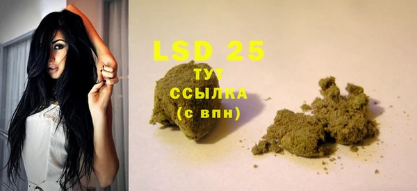 PSILOCYBIN Нея