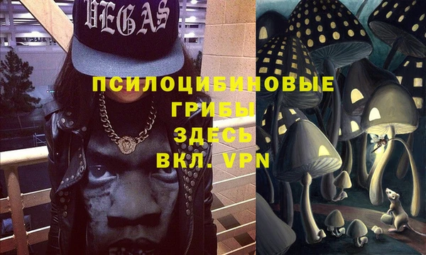 тгк Нефтекумск