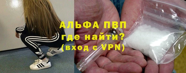 PSILOCYBIN Нея