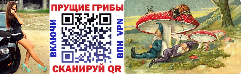 Купить  Ивангород  Псилоцибиновые грибы GOLDEN TEACHER 