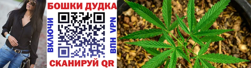 Бошки Шишки конопля Купить закладки Ивангород